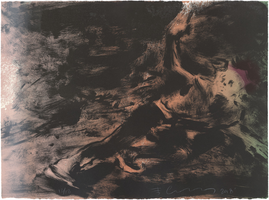 11 韦嘉《无名》版画石版画 57×76cm 2018