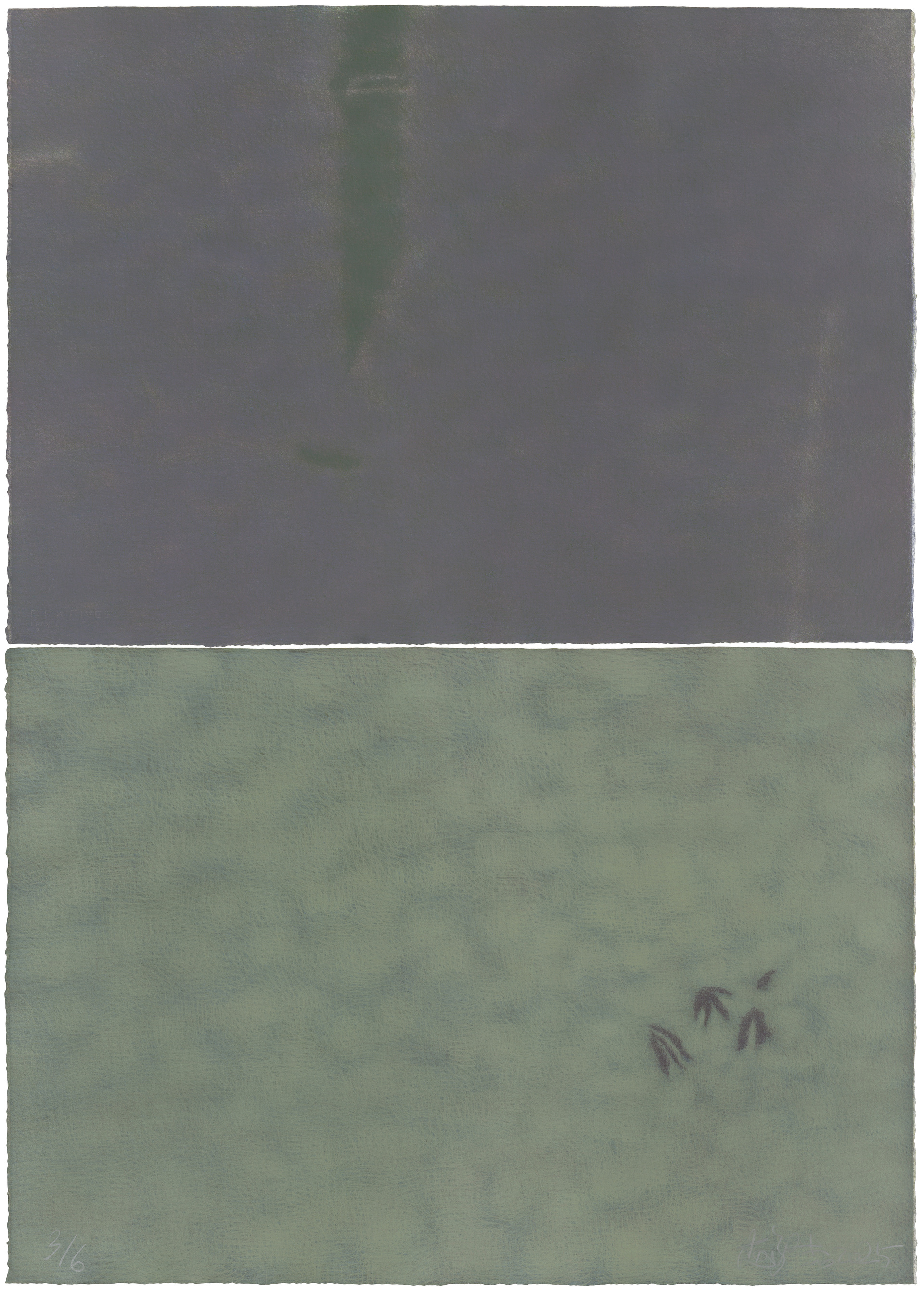 239 版画直送 赵毅杰《亦所有之竹》160×108cm，石版画2025